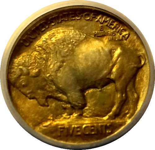 Need-Help---1913-Type-1-Buffalo---Proof-Or-MS?
