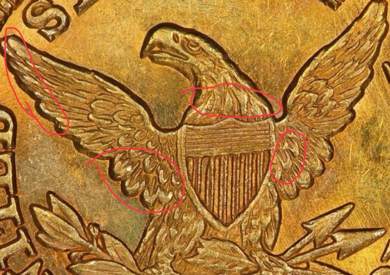 1846-Coronet-Half-Eagle-PCGS-Vs-You