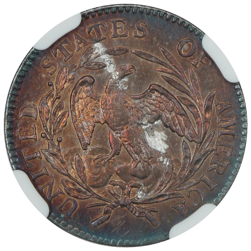 1796-Draped-Bust-Dime-NGC-Vs-You