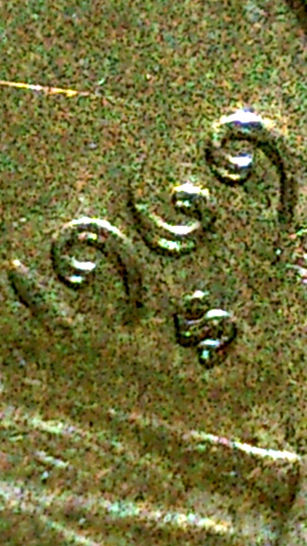 One-Cent-1969-S-Double-Die