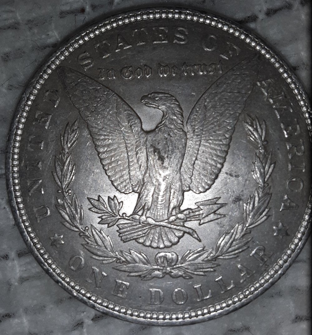 1892-Morgan-Dollar-What-Do-You-Guys-Think?