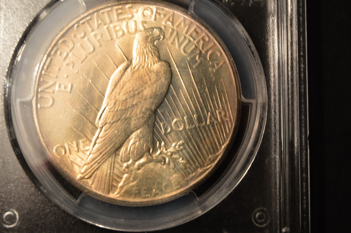 1928-Peace-Grade-Opinion