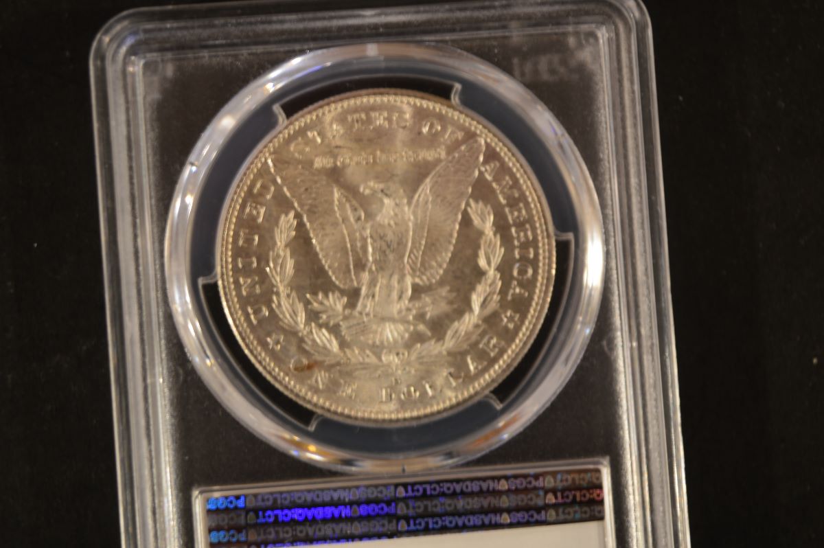 1880-S-Morgan-Dollar-Grade-Opinion