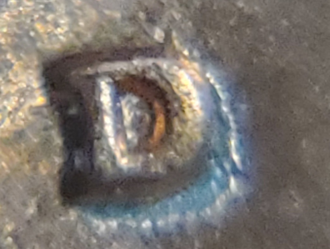 1984-D-Lm-D-Over-D-Question-Does-MD-Apply-To-Over-Mint-Marks