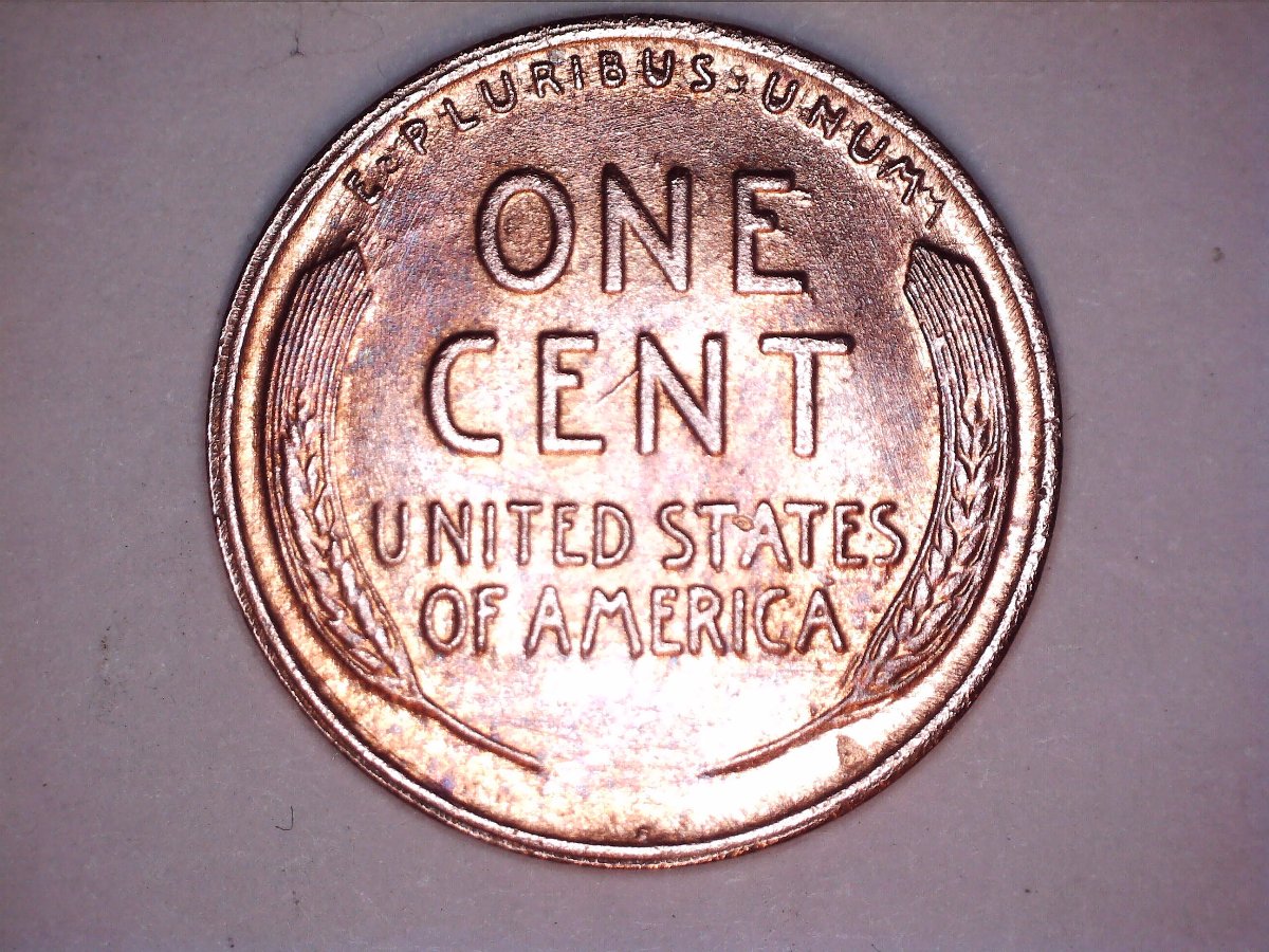 Did-I-Find-A-1959-D-Mule-Once-Cent,-Wheat-Reverse