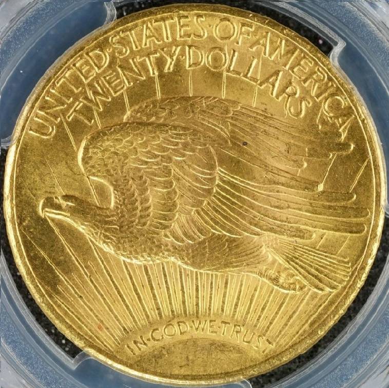 You-Vs-PCGS-20-Dollar-1924-St.-Gaudens
