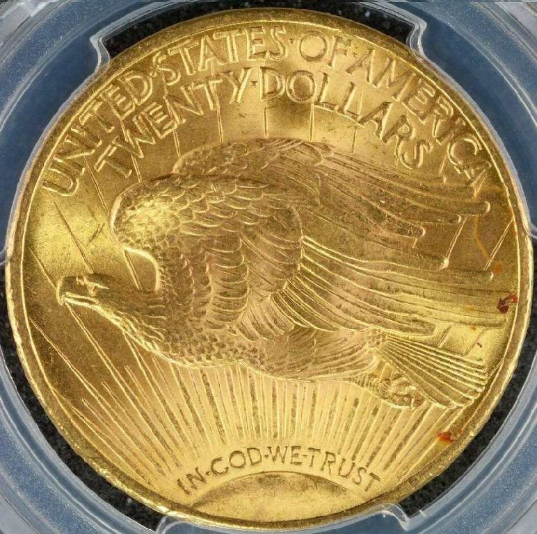 You-Vs-PCGS-20-Dollar-1924-St.-Gaudens