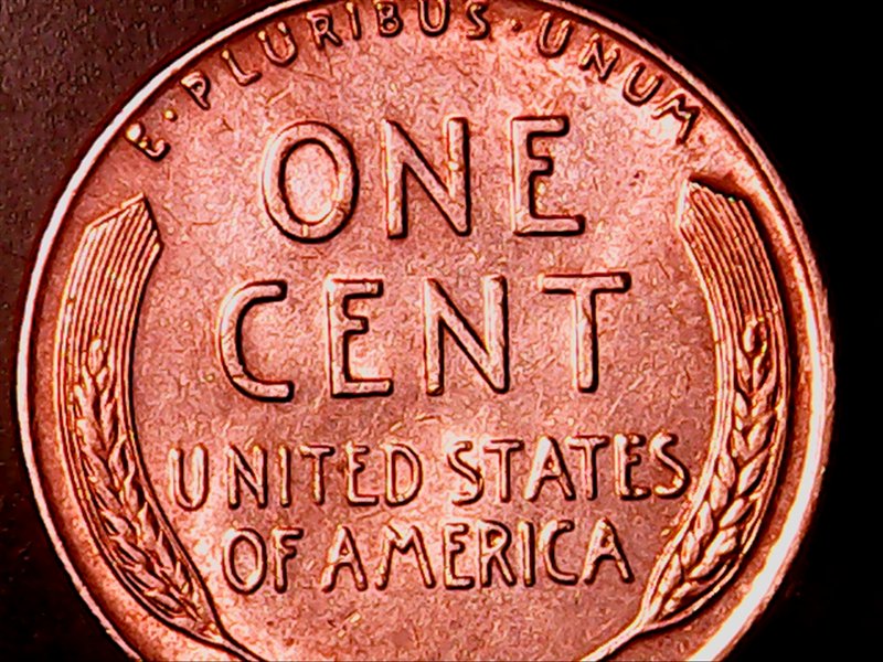 1909-VDB-Wheat-Cent-W-1956-Nice-Coin
