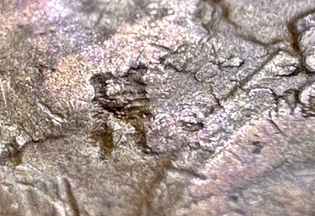 1941-Lincoln-Cent--Lamination-Issue?