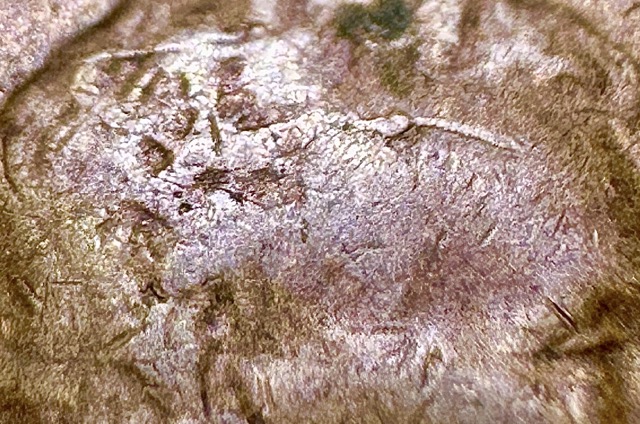 1955-Lincoln-Cent--Bie+die-Chip+cracked-Skull-
