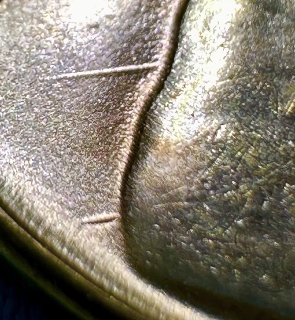 1955-S-Lincoln-Cent-BIE