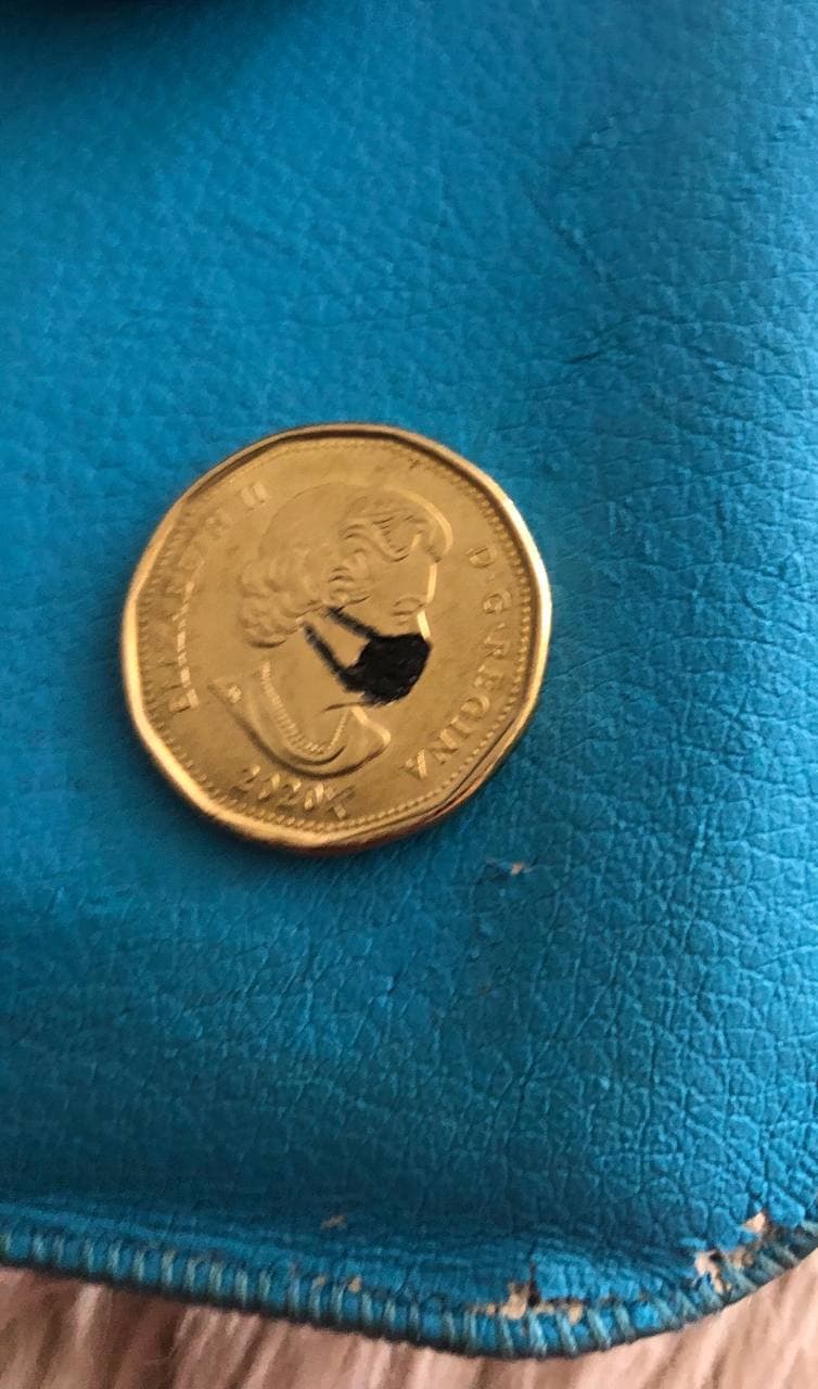 Found-A-Queen-Mask-Loonie-While-Looking-For-Mask-Twoonie,-Is-It-Real?