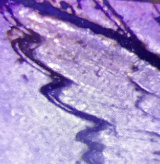 1972-D-Fg-Half-Dollar.-Is-This-Doubling-On-The-Reverse-?-In-The-Word-States,-Half,-And-The-Wings?