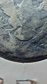 1902-0-Mint.-I-Know-It's-In-Very-Rough-Condition.-But-What-Do-You-Think-It-Would-Grade-At?-Is-It-Wo?