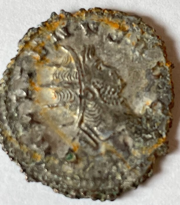 Are-These-Rare?--Please-Help-Identifying