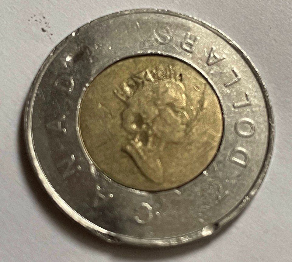 1996-Canadian-Toonie---Looks-Like-Bear-Is-Rotated?