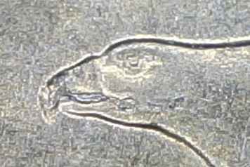 2000-P-Sacajawea-Dollar-With-Retouched-Die/Re-Engraved-Die?