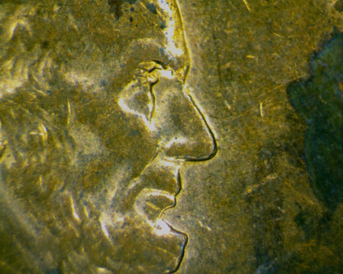 2001-D-LMC-With-Something-Going-On-With-The-Eye-Area-Of-Lincoln.