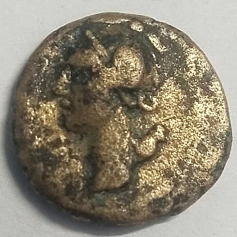 Identification-Please