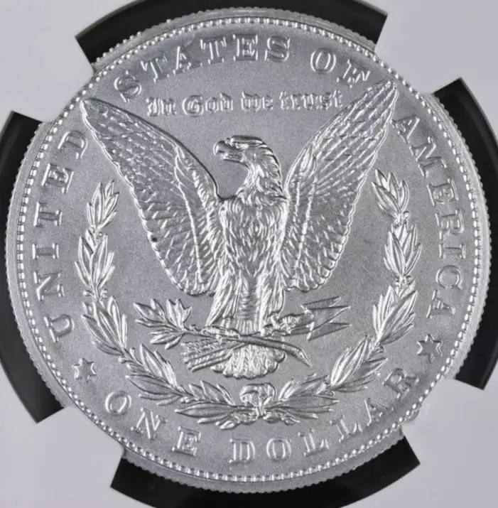 Is-This-Morgan-Real-Or-Fake?