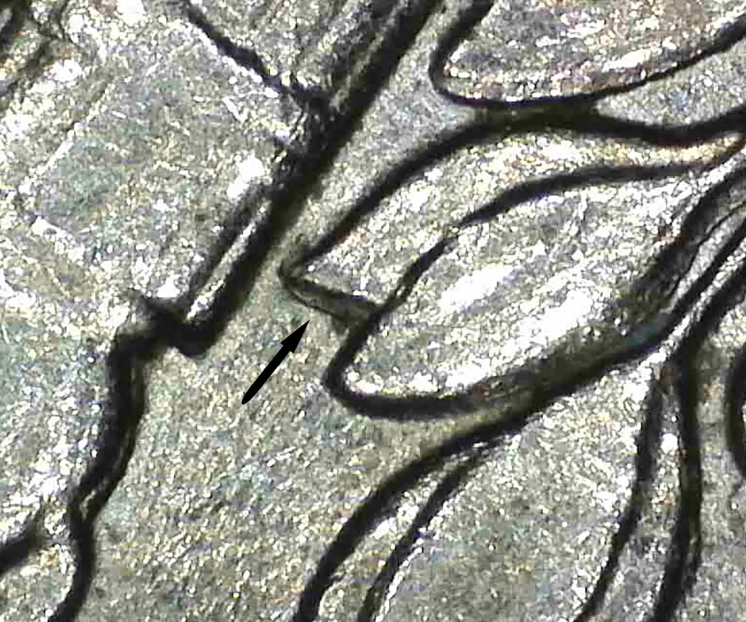 1998-P-Roosevelt-Dime---DDR-Or-Machine-Doubling?