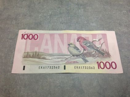 One-Thousand-Dollar-Note