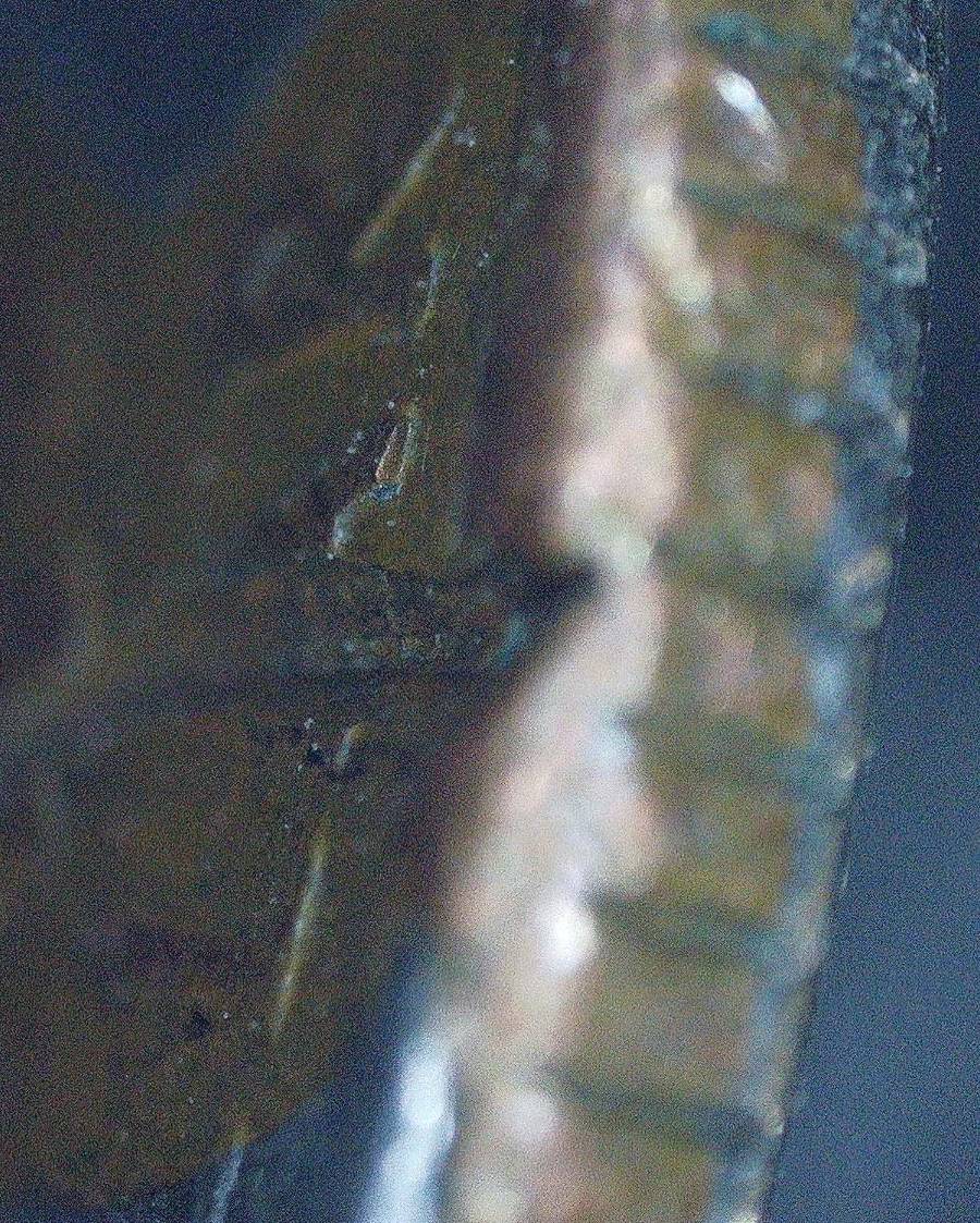 2002-D-Ohio-Strike-Through-Error-With-Missing-Clad,-Struck-Through-Lar-In-Dollar