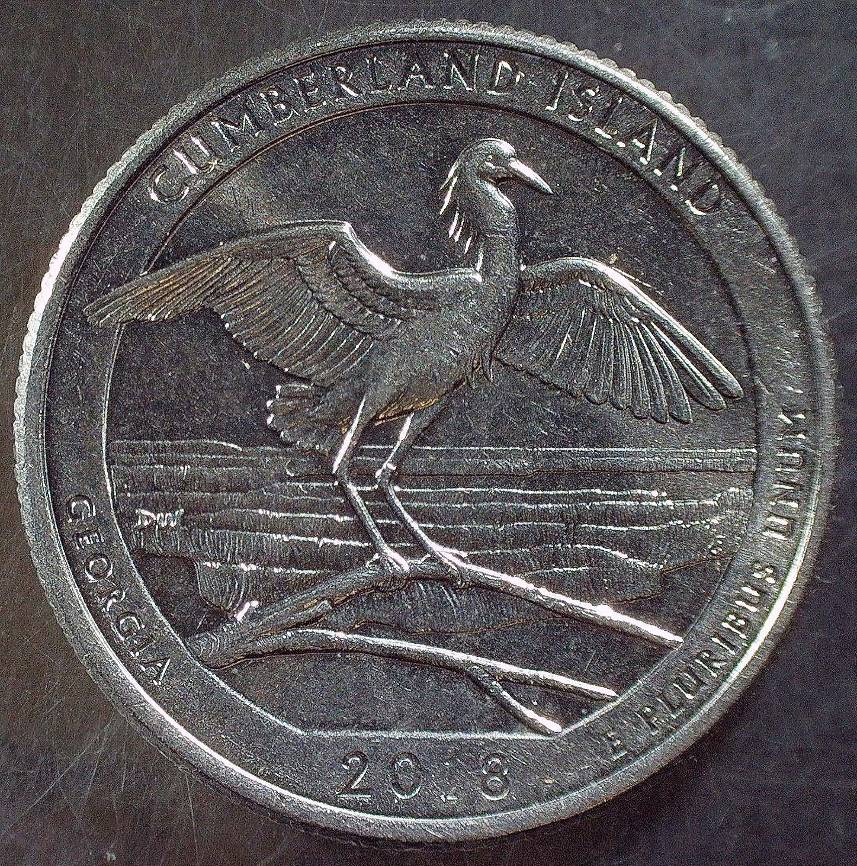 2018-P-Georgia-Cumberland-Island,-Obverse-Rim-Die-Break