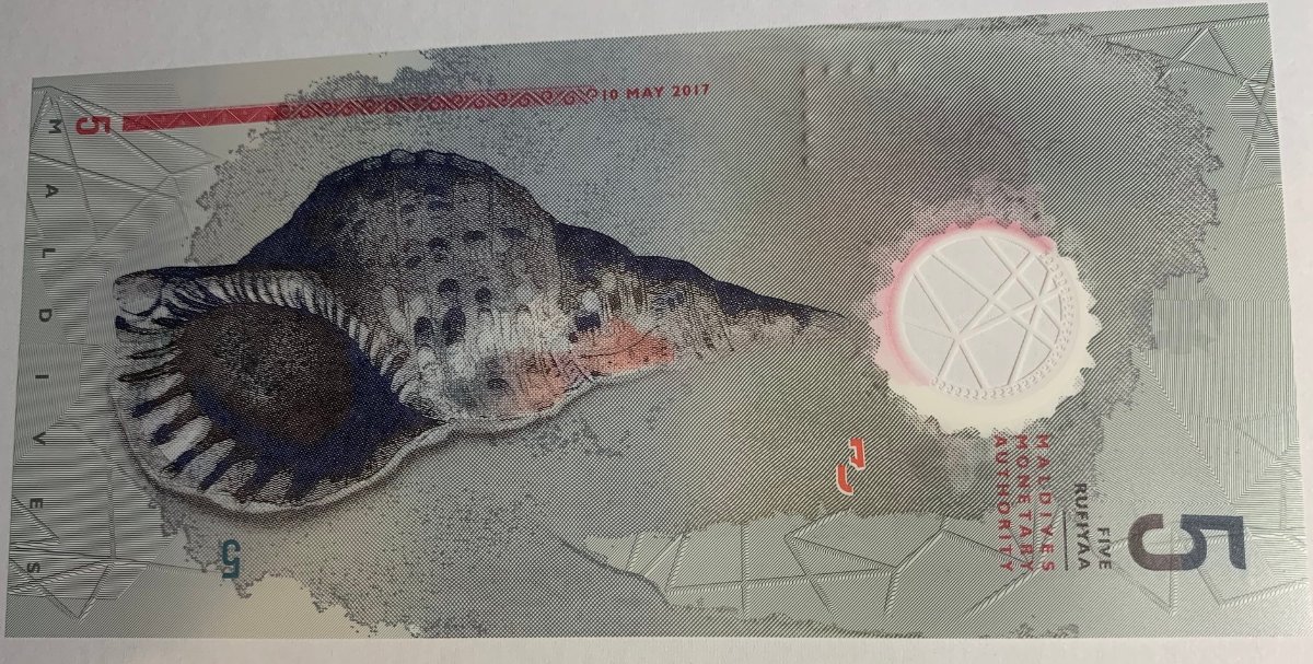 How-Far-Back-Can-We-Go?---With-Banknotes!-Second-Edition!