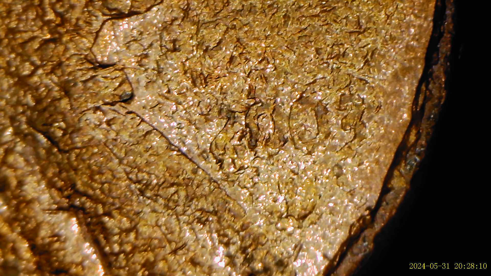 2003-D-Penny-Unusal-Plating-Error?