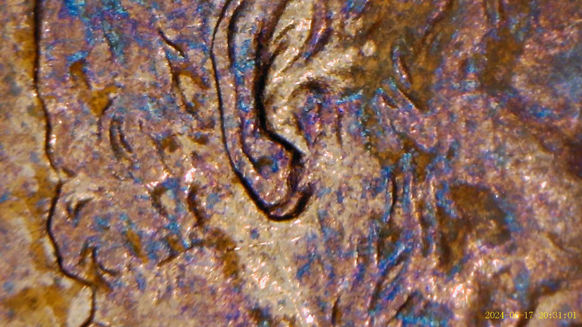 1996-D-With-Double-Ear?