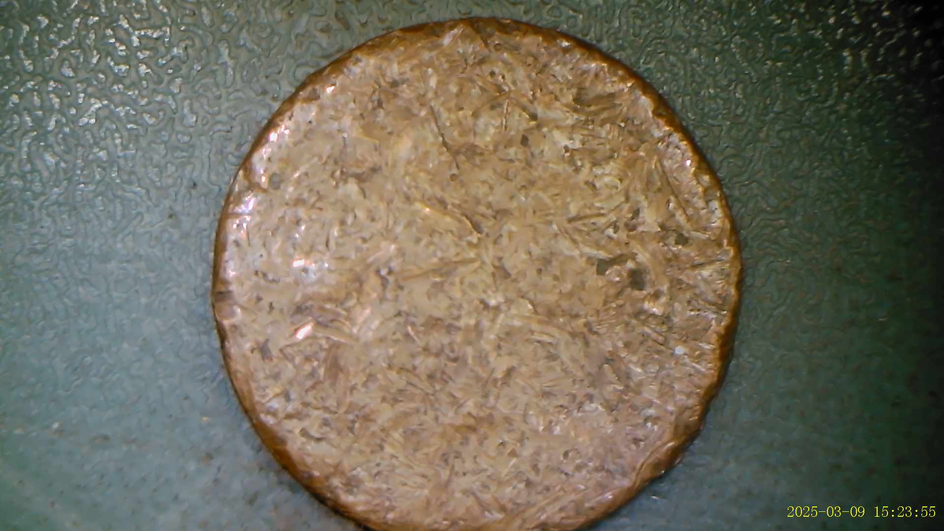Not-Sure-What-This-Is,-Anyone?