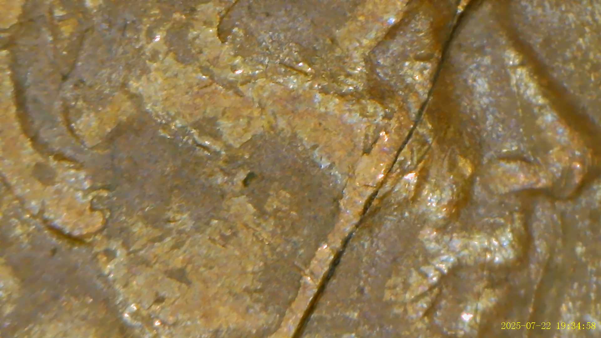 1981-LMC-With-Possible-Die-Crack-Across-Obverse.