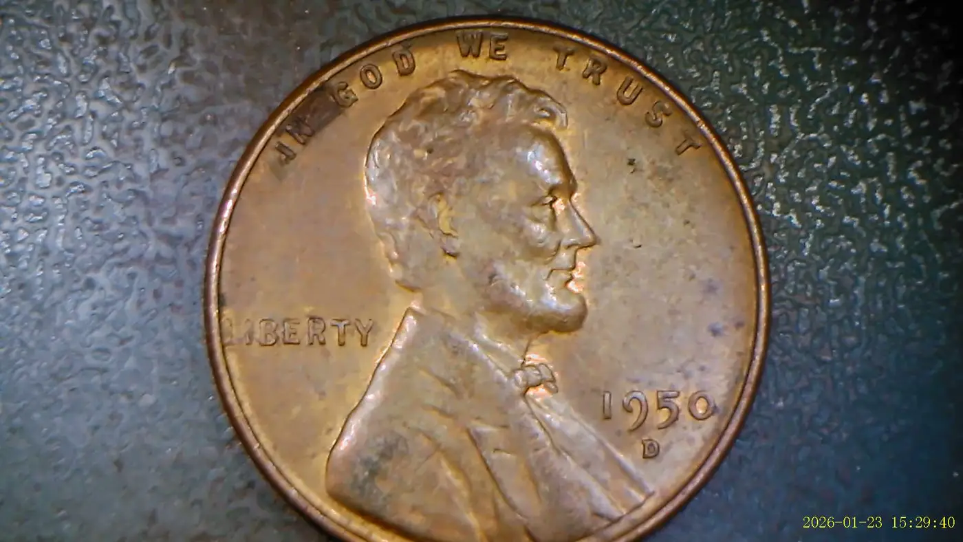 1950-D-LWC-With-Possible-Cud?