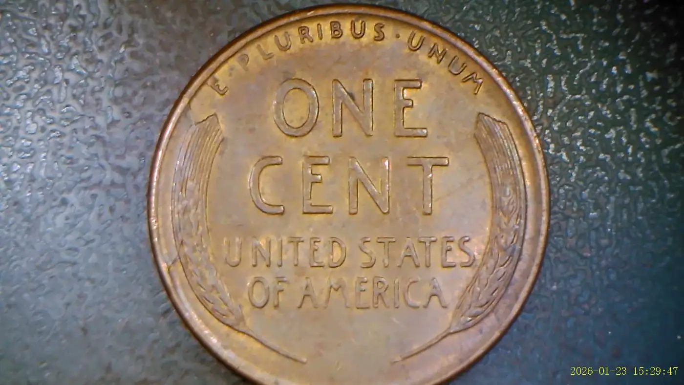 1950-D-LWC-With-Possible-Cud?