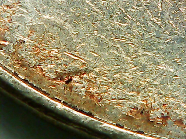 2004-P-Nickel-Stuck-Through-Grease?-Almost-All-Front-Lettering-Missing