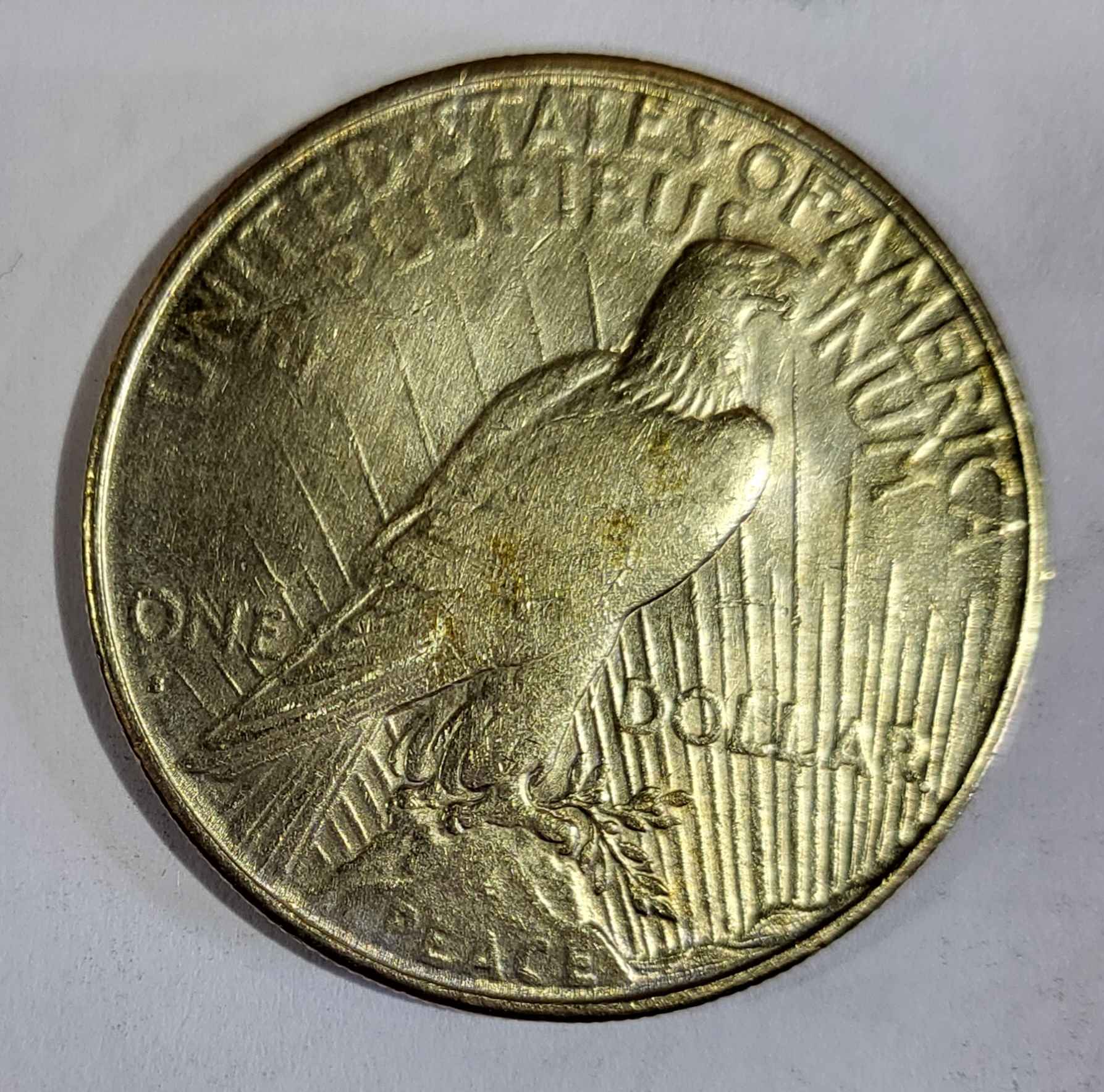 1928-S-Peace-Dollar-And-1884-Morgan-Grading