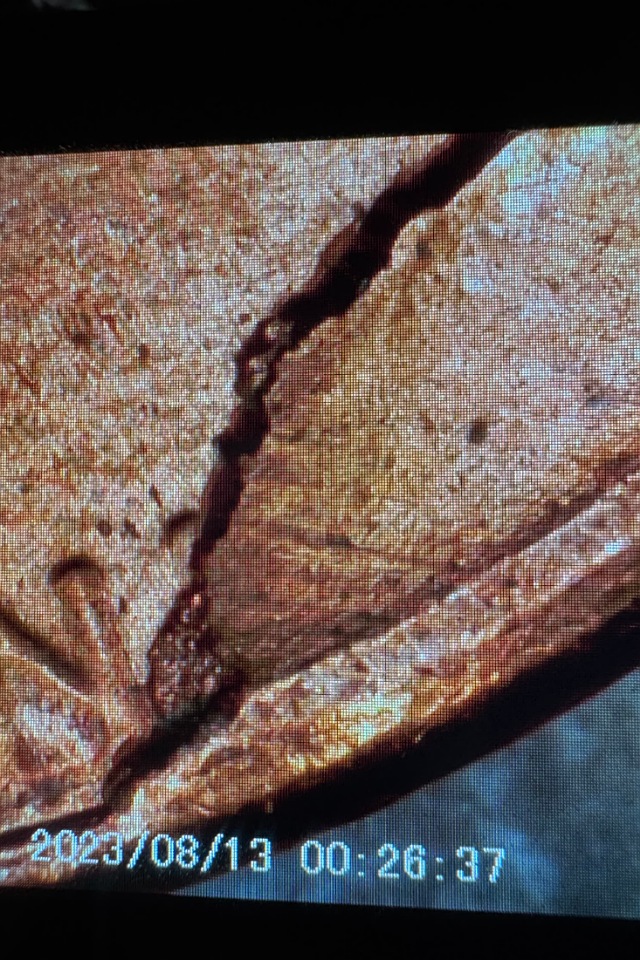 1985-D-Cent:-New-To-Coin-Searching-What-Did-I-Find?