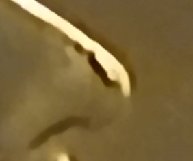 2024-P-Celia-Cruz-Quarter:-Blob-On-The-Tip-Of-George-Washington's-Nose
