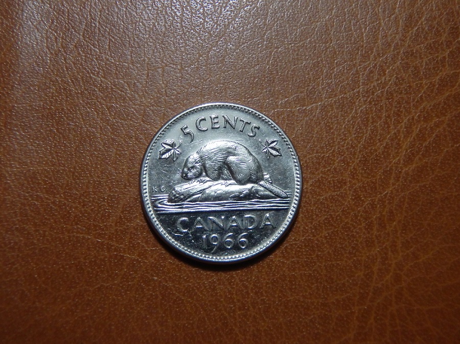 The-Great-Canadian-Nickel-Hunt