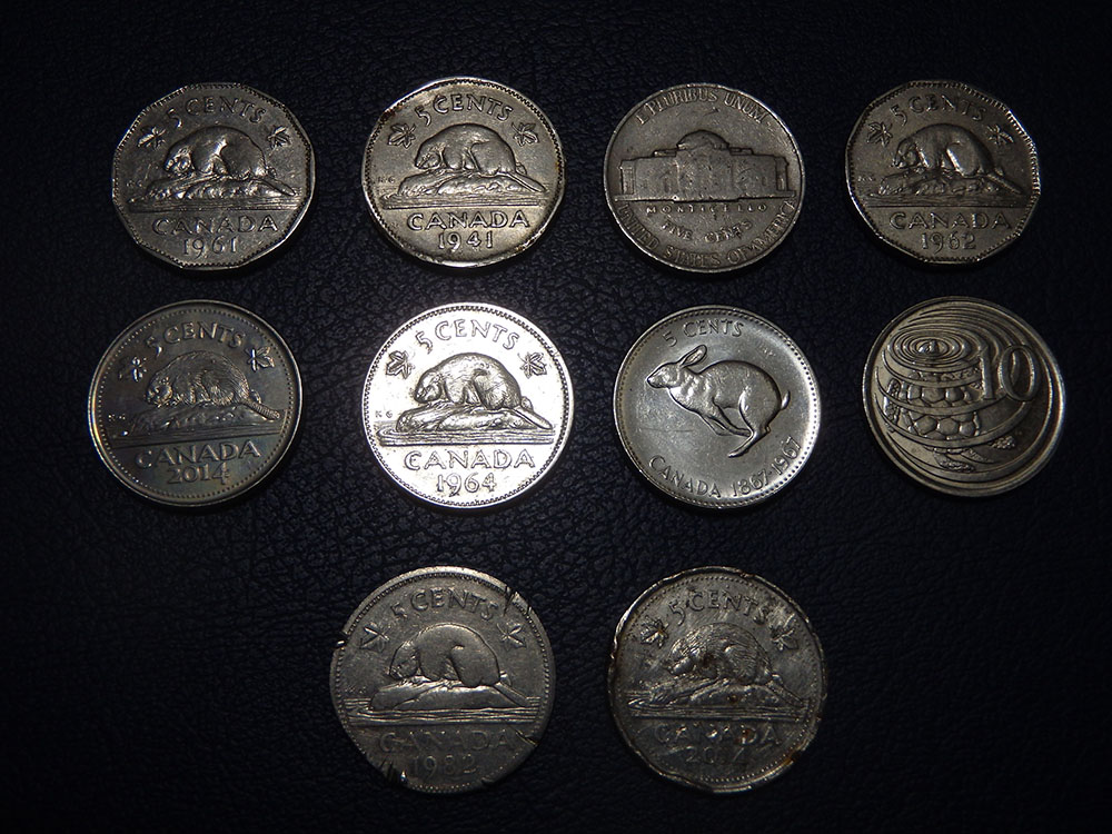 The-Great-Canadian-Nickel-Hunt