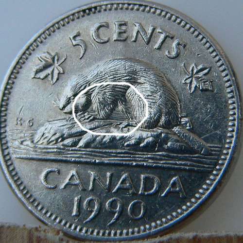 1990-Bare-Belly-Nickel