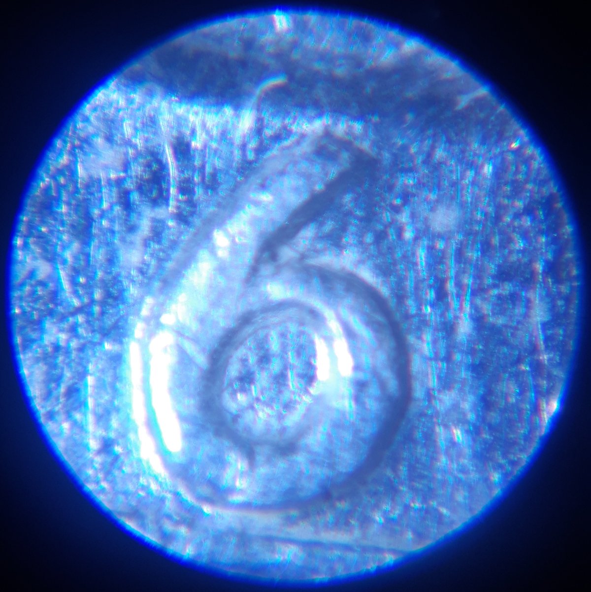 1964-Silver-Quarter-Double-Die