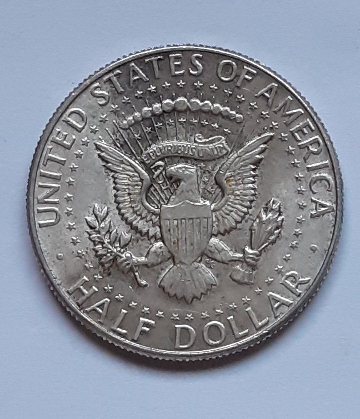 Kennedy-Half-Dollar-1964-For-Grading