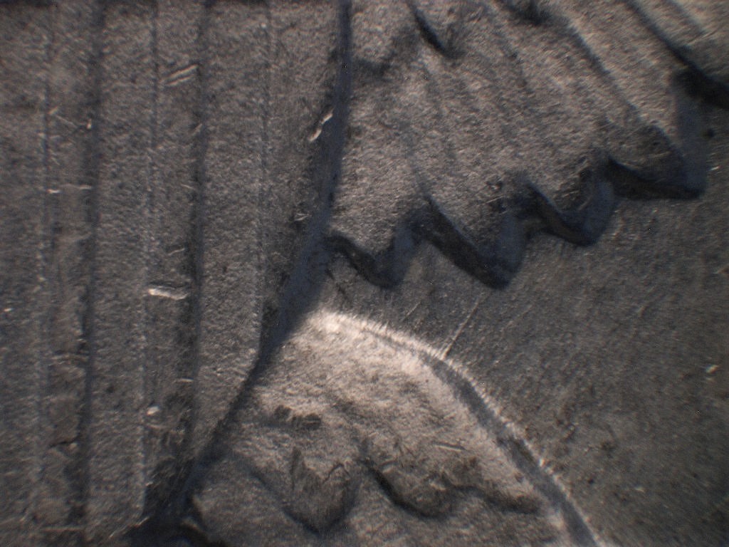 1964-D-Kennedy-Half-With-Some-Notching....common?
