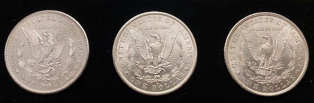 What-Grade-Morgans-And-?-Worth-Cost-Of-Grading