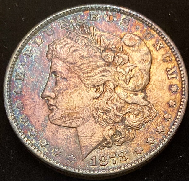 What-Grade-Morgans-And-?-Worth-Cost-Of-Grading