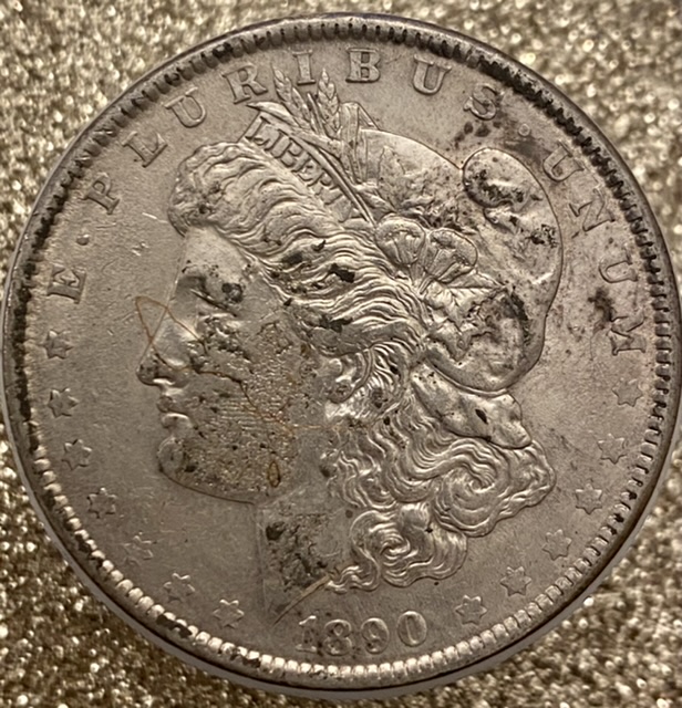 Should-And-How-Would-I-Clean-This-Morgan-1890