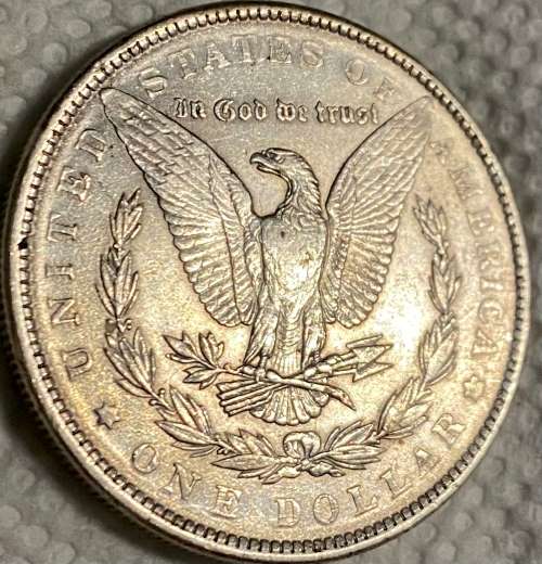 Should-And-How-Would-I-Clean-This-Morgan-1890