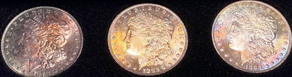 What-Grade-Morgans-And-?-Worth-Cost-Of-Grading